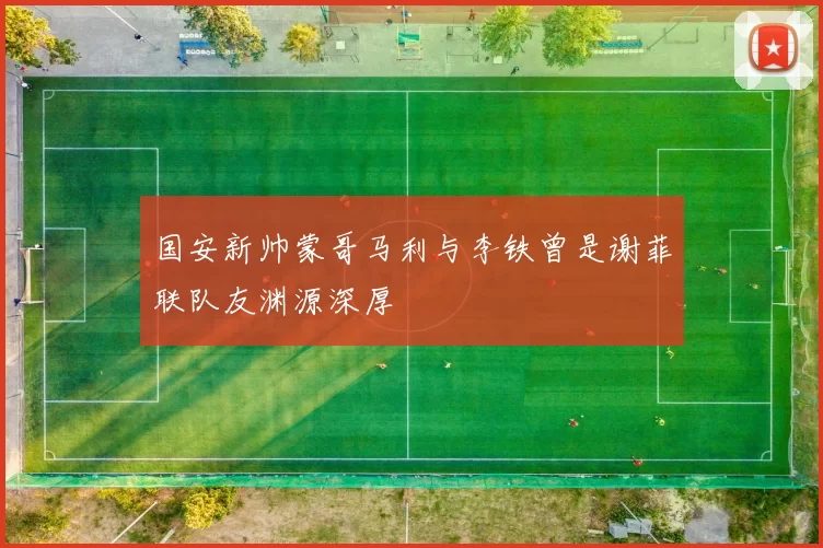 国安新帅蒙哥马利与李铁曾是谢菲联队友渊源深厚