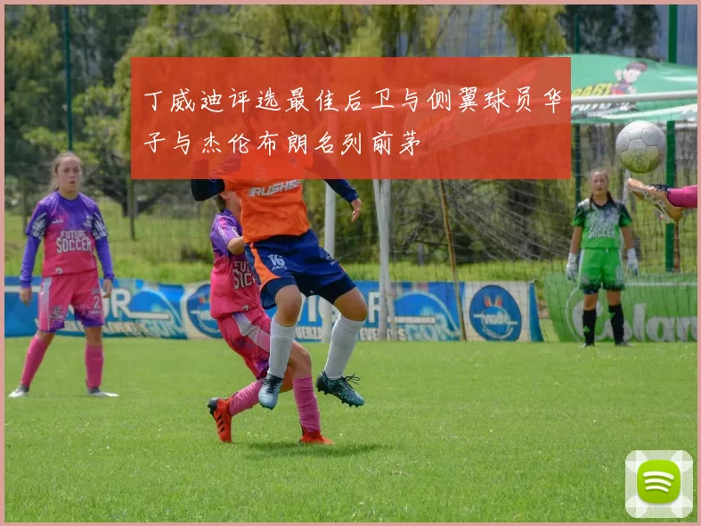 丁威迪评选最佳后卫与侧翼球员华子与杰伦布朗名列前茅