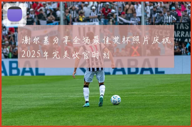 谢尔基分享全场最佳奖杯照片庆祝2025年完美收官时刻